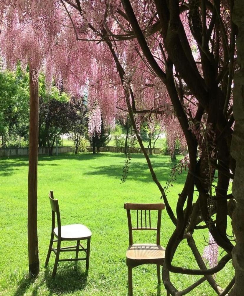 La Taverna Fra Le Colline Arezzo Kültér fotó